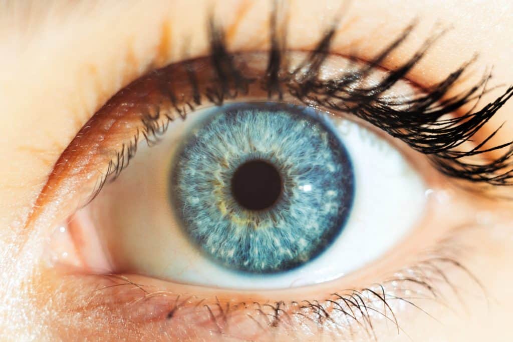 Estudo mostra como melanina e genes transformam os olhos em “pequenos universos” de cores e luz